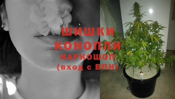 ECSTASY Балахна