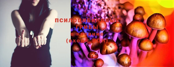 хмурый Балабаново