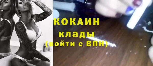 прущая мука Пересвет
